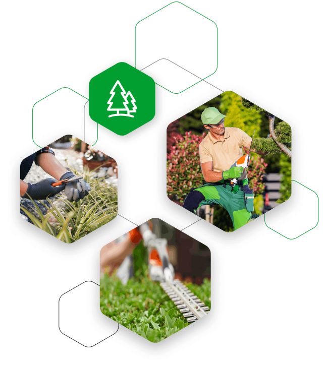 Verde Pubblico Verde Pubblico